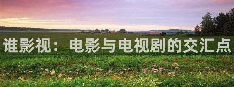 山外人精品影院在线观看