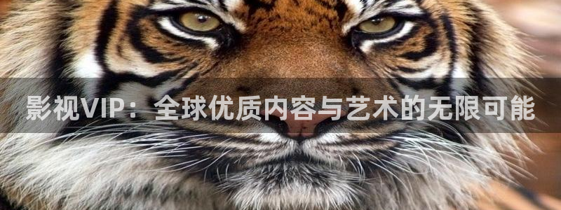 山外人精品影院洋洋av